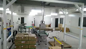 三轴码垛上下料带旋转机械手滑台